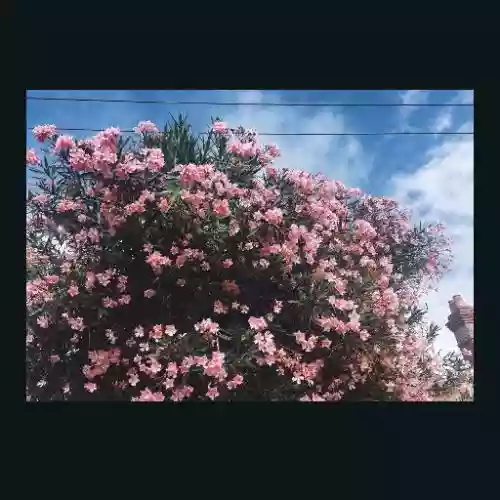 Cover di Drag It Down On You