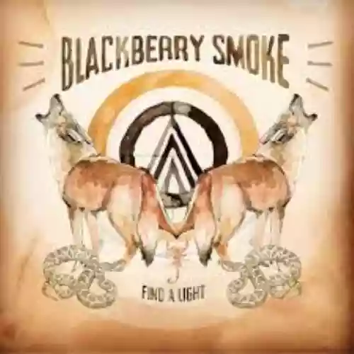 Cover di Find a Light