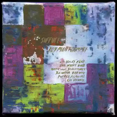 Cover Roy Montgomery - Suffuse
