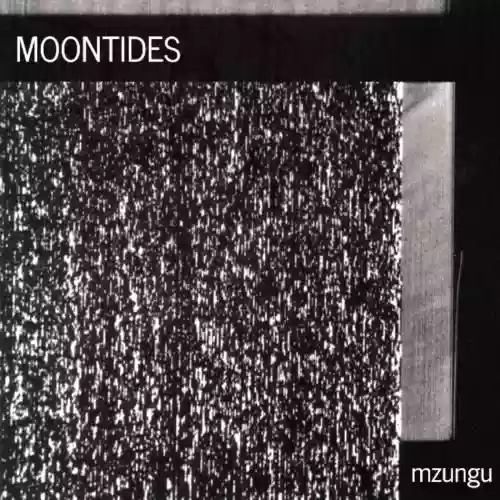 Cover Mzungu - Moontides