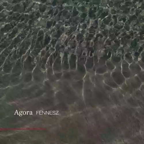 Cover Fennesz - "Agora"
