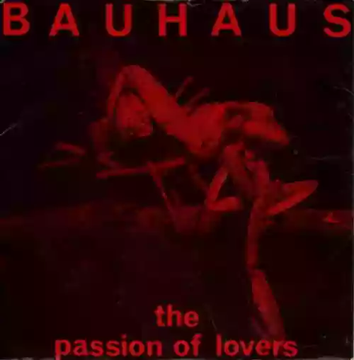 Cover di The Passion of Lovers