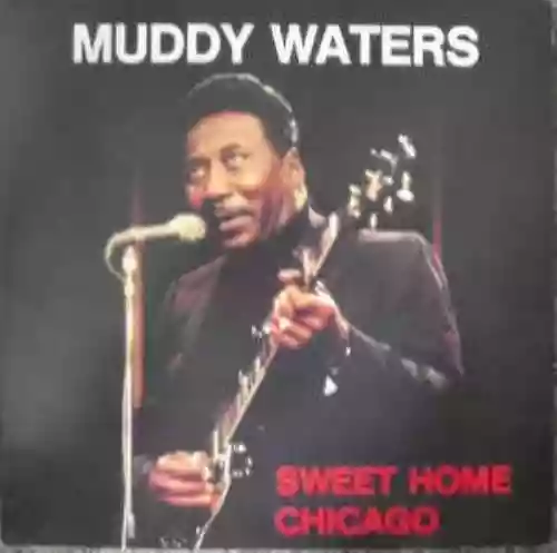 Cover di Sweet Home Chicago