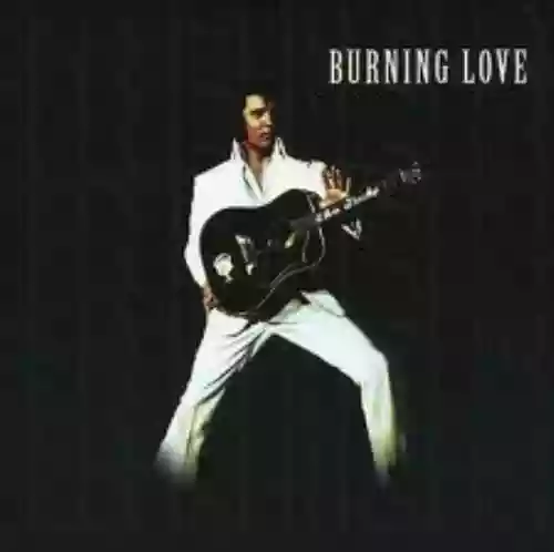 Cover Elvis Presley - Burning Love