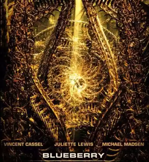 Cover di Blueberry 