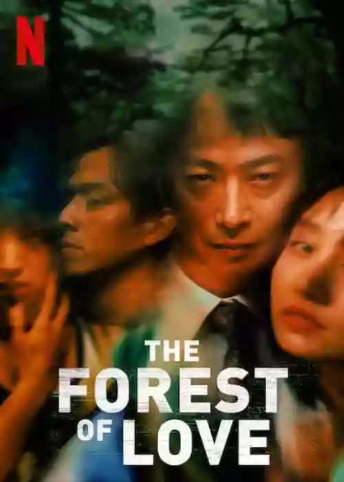 Cover di The Forest Of Love