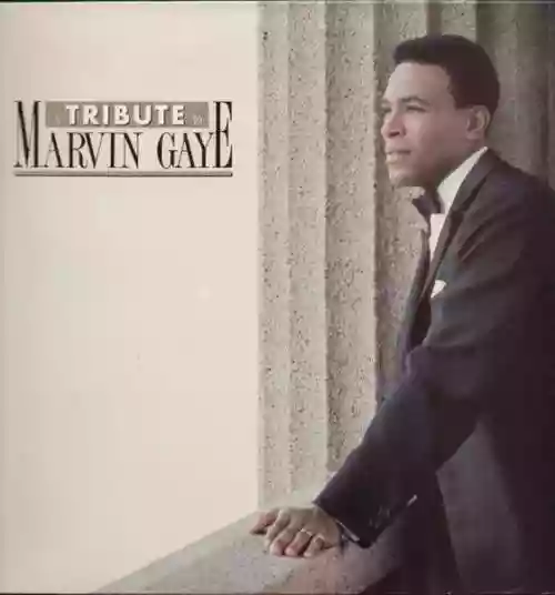 Cover di A Tribute to Marvine Gaye