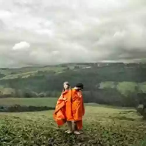 Cover Cobalt Chapel - Orange Synthetic
