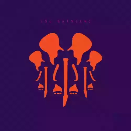 Cover di The Elephants Of Mars