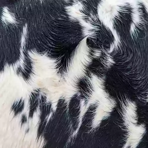 Cover Blawan - DISMANTLED INTO JUICE