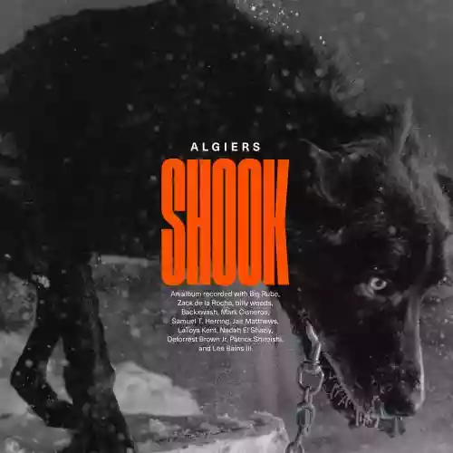Cover di Shook
