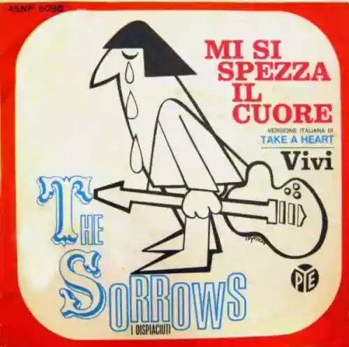 Cover di Mi si spezza il cuore/Vivi
