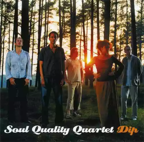Cover Soul Quality Quartet - Dip