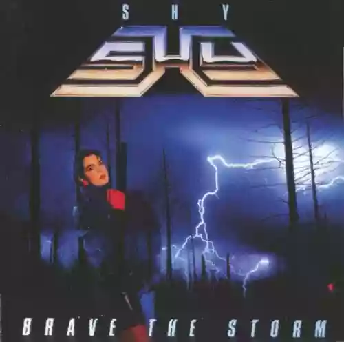 Cover Shy - Brave the Storm