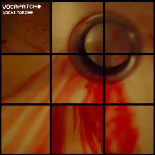 Cover di Vocapatch