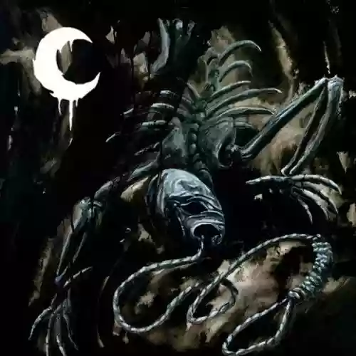 Cover di A Silhouette in Splinters