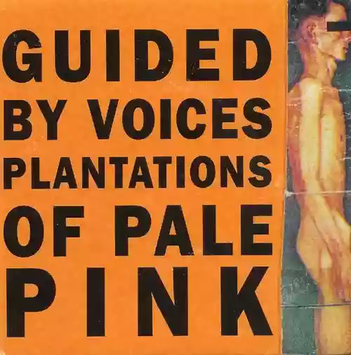 Cover di Plantations of Pale Pink