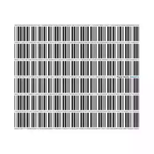 Cover Ryoji Ikeda - Dataplex