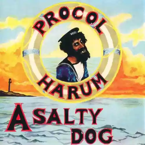 Cover di A Salty Dog