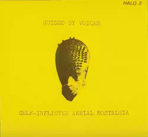 Cover di Self-Inflicted Aerial Nostalgia
