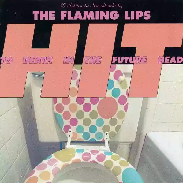 The Flaming Lips: Hit To Death In The Future Head