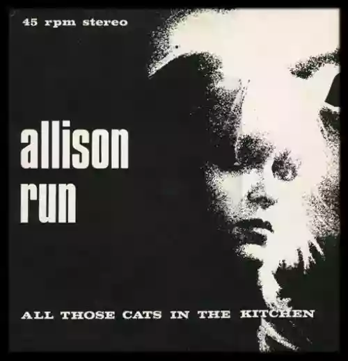 Cover Allison Run - All Those Cats in the Kitchen