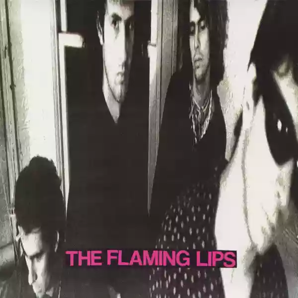 The Flaming Lips: In a Priest Driven Ambulance