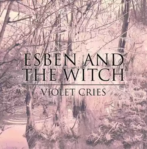 Cover di Violet Cries
