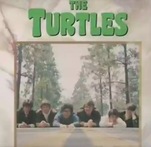 Cover di The Turtles