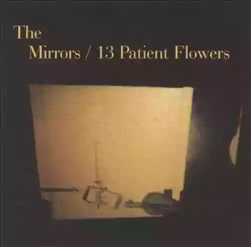 Cover The Mirrors - 13 Patient Flowers