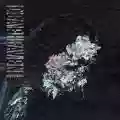 <b>Deafheaven</b> • New Bermuda