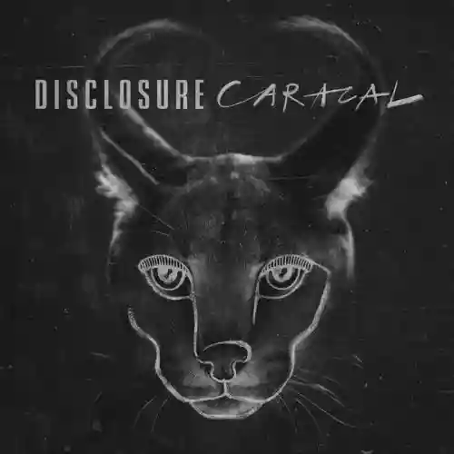 Cover di Caracal