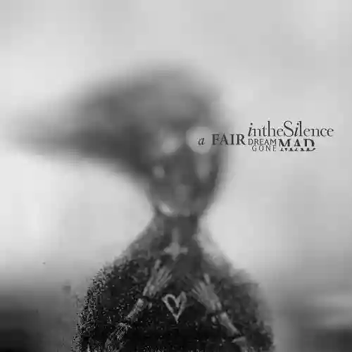 Cover di A Fair Dream Gone Mad