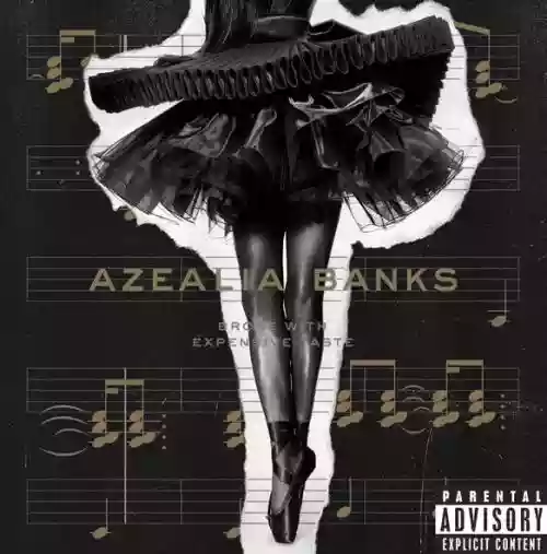 Cover di Broke With Expensive Taste