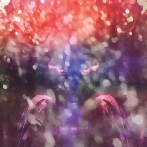 Cover Maybeshewill - Fair Youth
