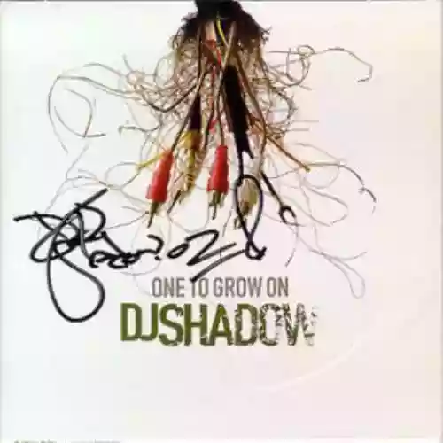 Cover DJ Shadow - One to Grow On