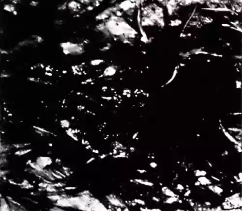 Cover Asva - Presences of Absences