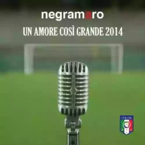 Cover Negramaro - Un amore così grande 2014