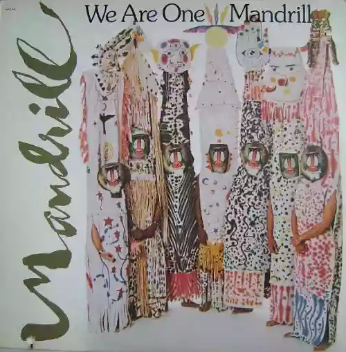 Cover Mandrill - We Are One