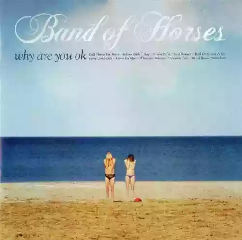Cover di Why Are You OK