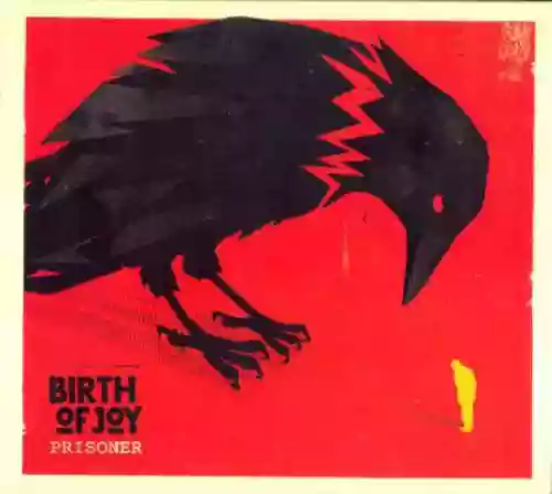Cover Birth Of Joy - Prisoner