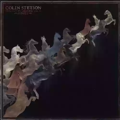 Cover Colin Stetson - New History Warfare Vol. 2: Judges