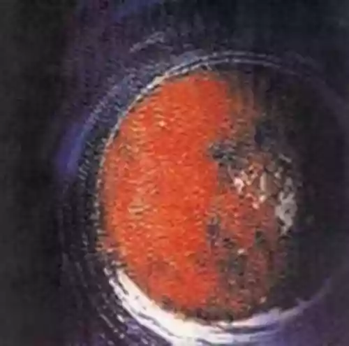 Cover Nuclear Death - The Planet Cachexial