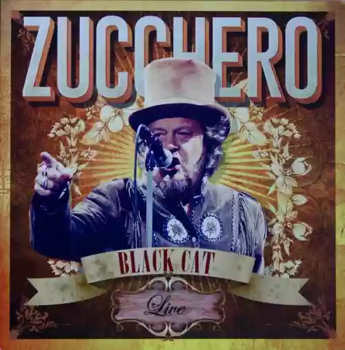 Cover di Black Cat Live