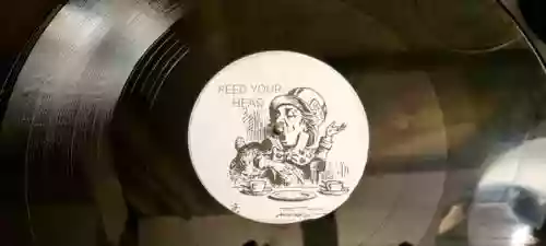 Cover Paul Kalkbrenner - Feed Your Head