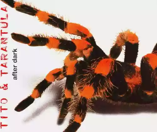 Cover Tito & Tarantula - After Dark