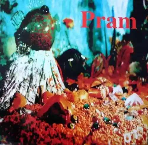 Cover Pram - Sargasso Sea