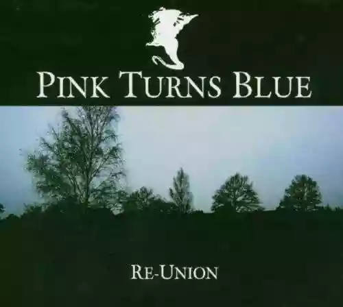 Cover Pink Turns Blue - Re-Union