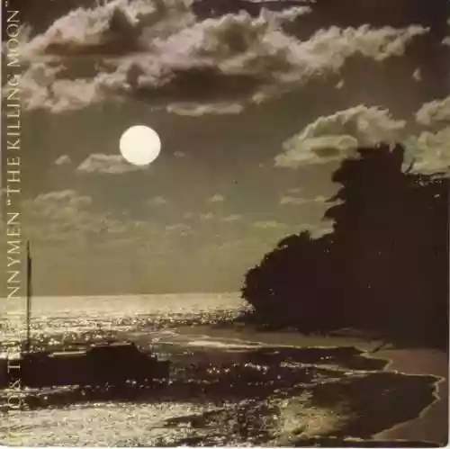 Cover Echo & The Bunnymen - The Killing Moon