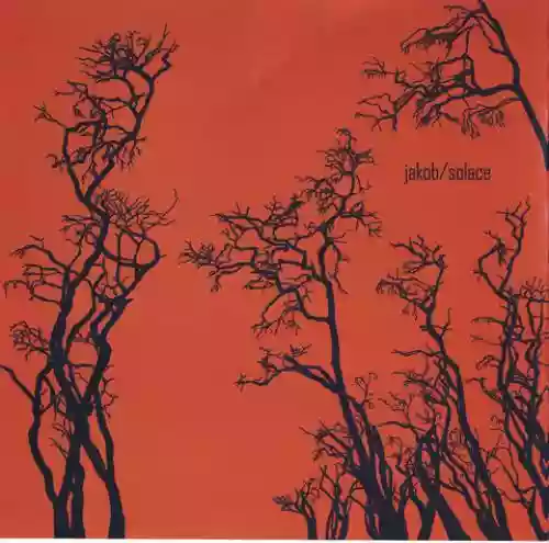 Cover di Solace